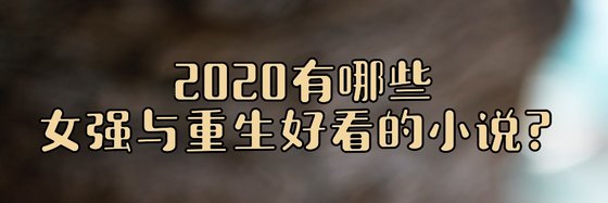 2020有哪些女强与重生好看的小说？